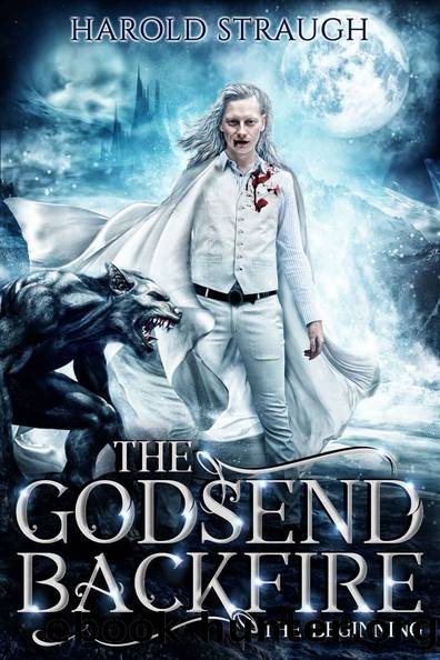 The Godsend Backfire: The Beginning by Harold Straugh
