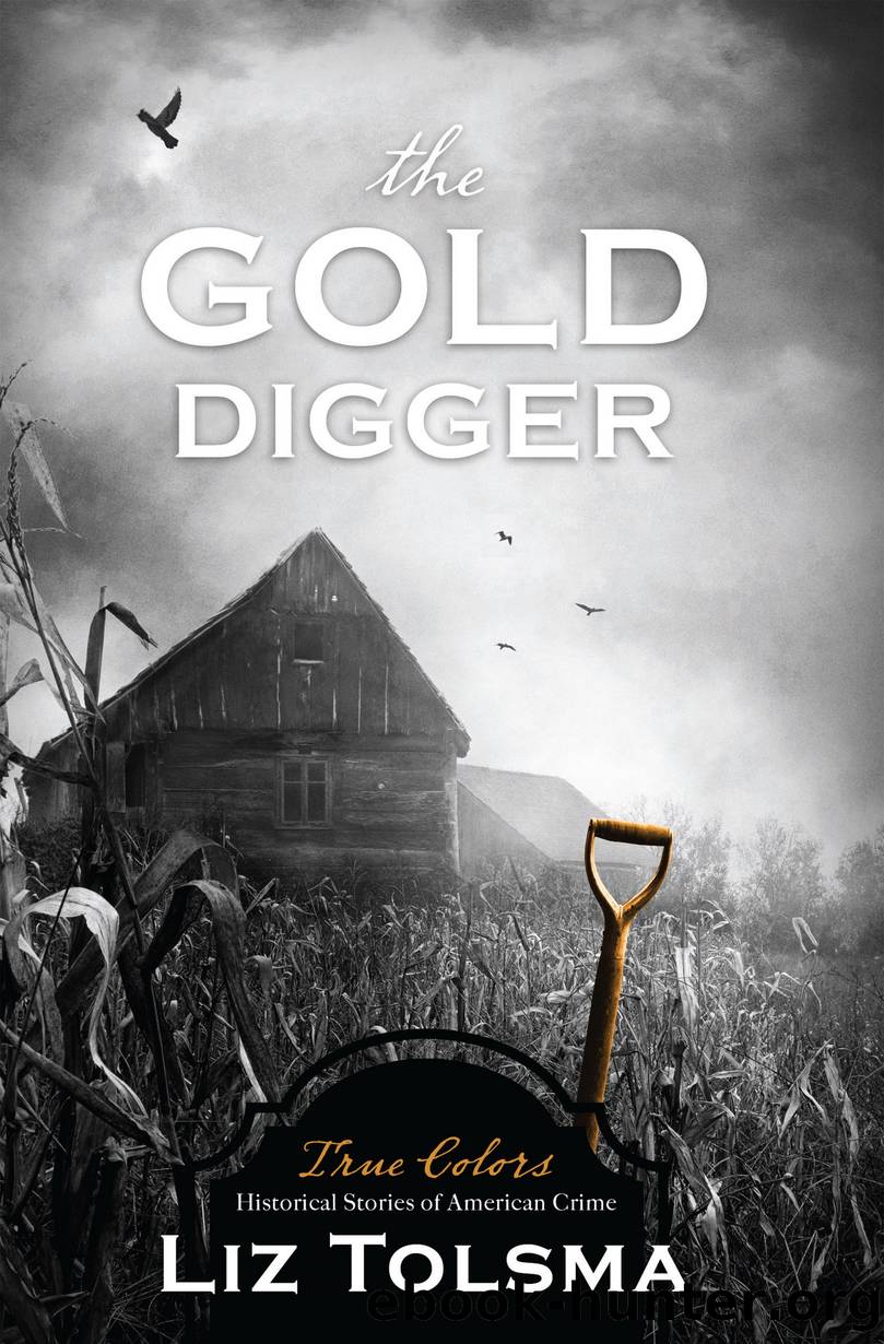 The Gold Digger by Liz Tolsma