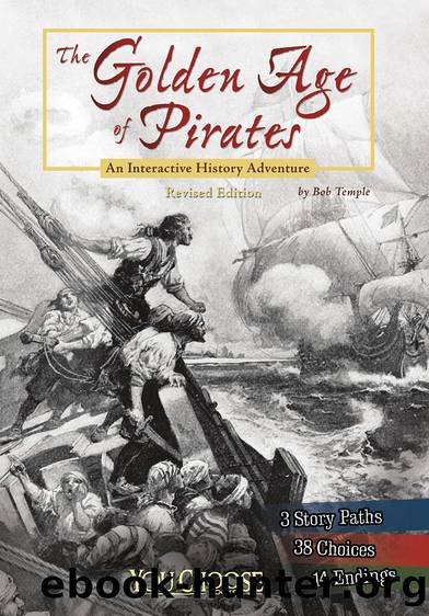 The Golden Age of Pirates by Bob Temple