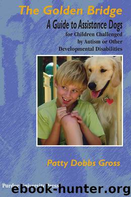 The Golden Bridge by Patty Dobbs Gross