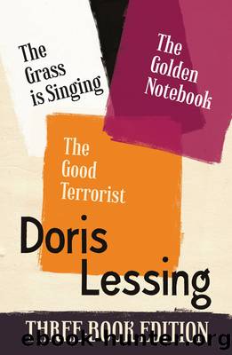 The Golden Notebook, the Grass is Singing, the Good Terrorist by Doris Lessing