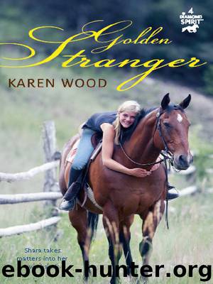 The Golden Stranger by Karen Wood