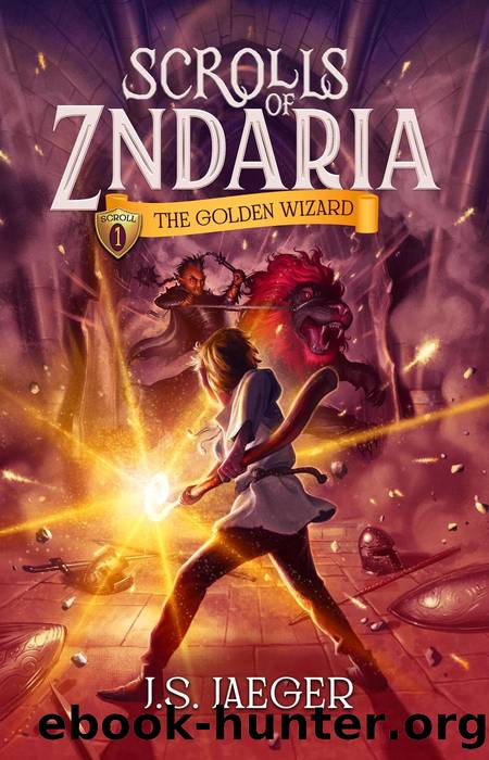 The Golden Wizard by J.S. Jaeger