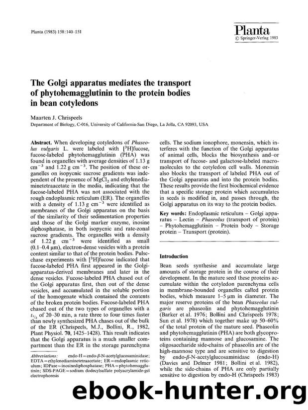 The Golgi apparatus mediates the transport of phytohemagglutinin to the protein bodies in bean cotyledons by Unknown