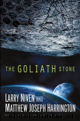 The Goliath Stone by Larry Niven