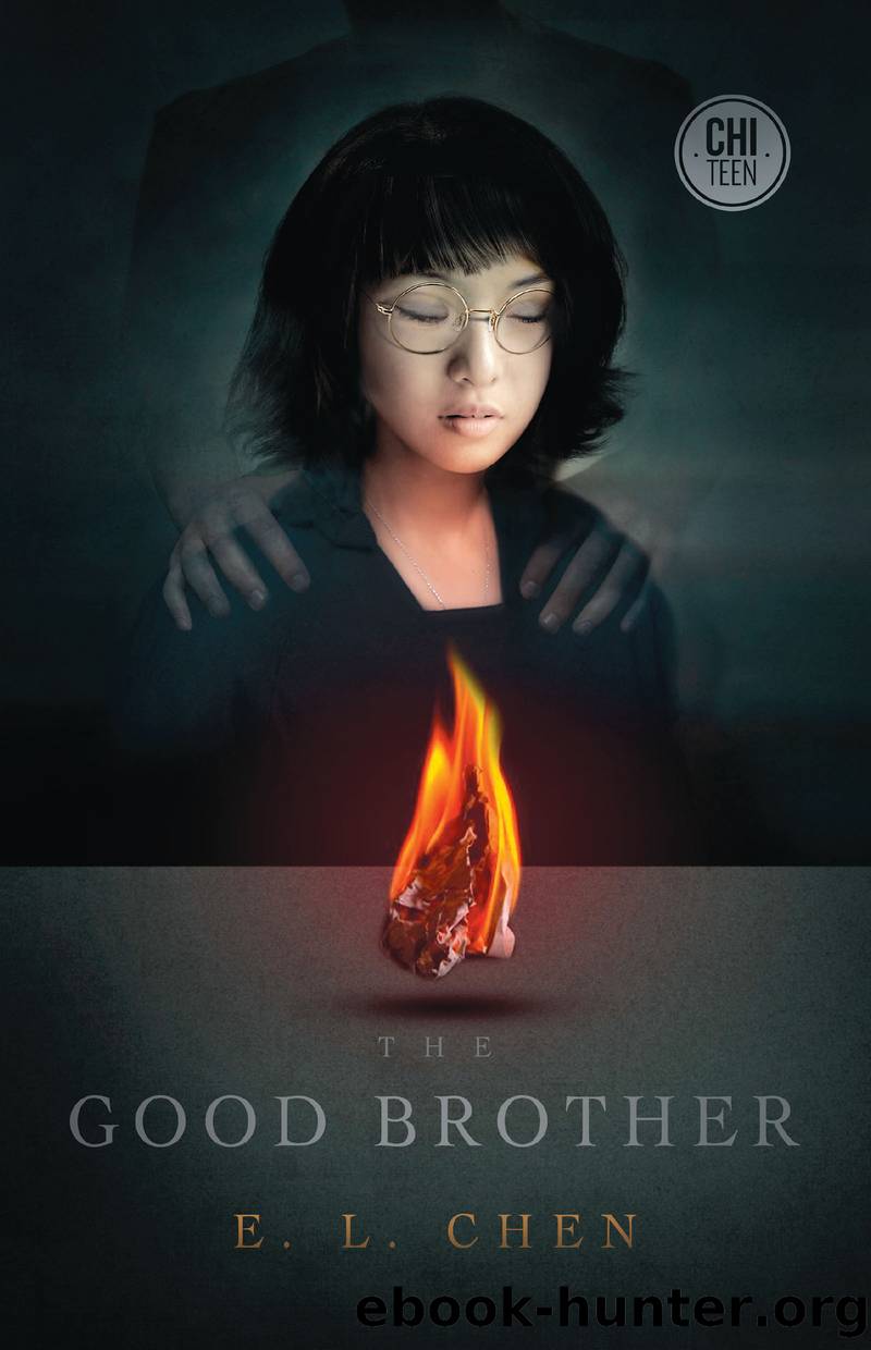 The Good Brother by E.L. Chen