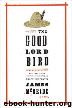 the good lord bird book summary