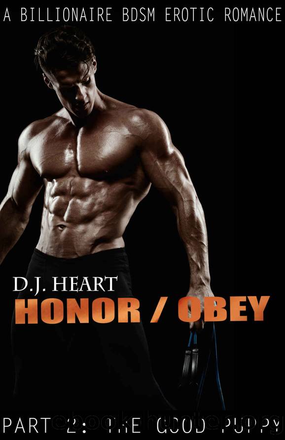 The Good Puppy by D. J. Heart