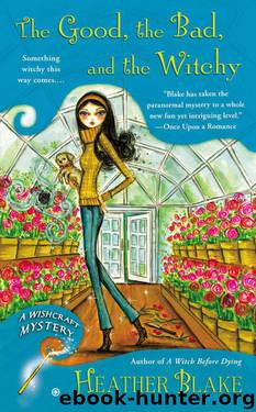The Good, the Bad, and the Witchy: A Wishcraft Mystery by Heather Blake