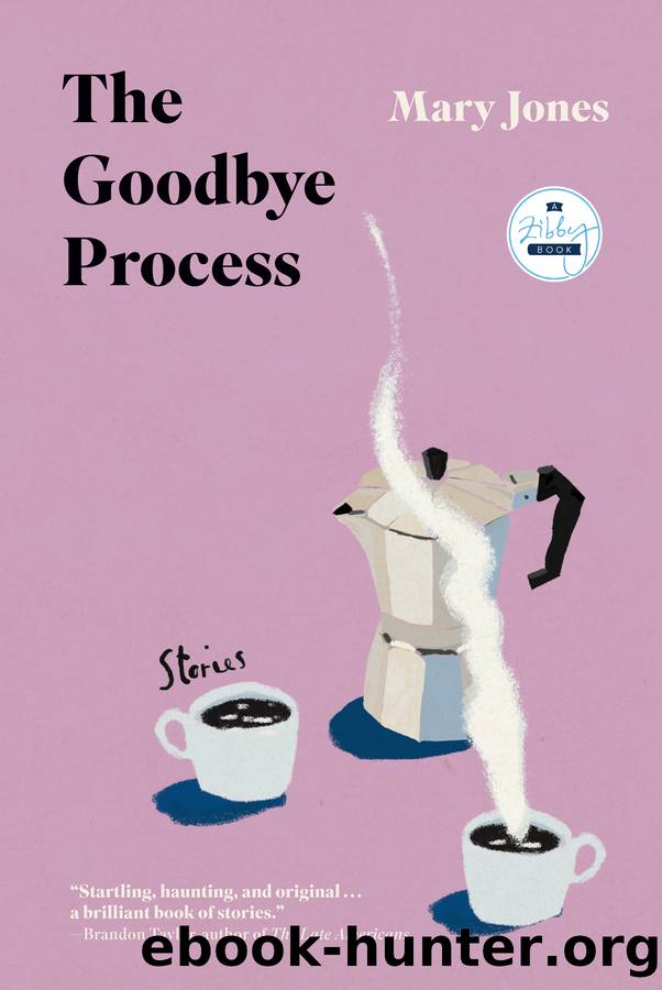 The Goodbye Process by Mary Jones