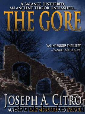 The Gore by Joe Citro