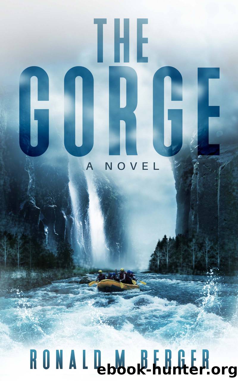 The Gorge by Ronald M. Berger
