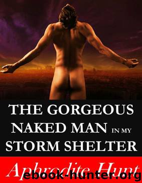 The Gorgeous Naked Man in my Storm Shelter (Erotic Suspense) by Aphrodite Hunt