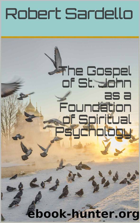 The Gospel of St. John as a Foundation of Spiritual Psychology (The School of Spiritual Psychology Archives) by Robert Sardello