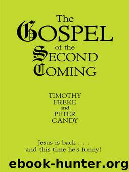 The Gospel of the Second Coming by Tim Freke