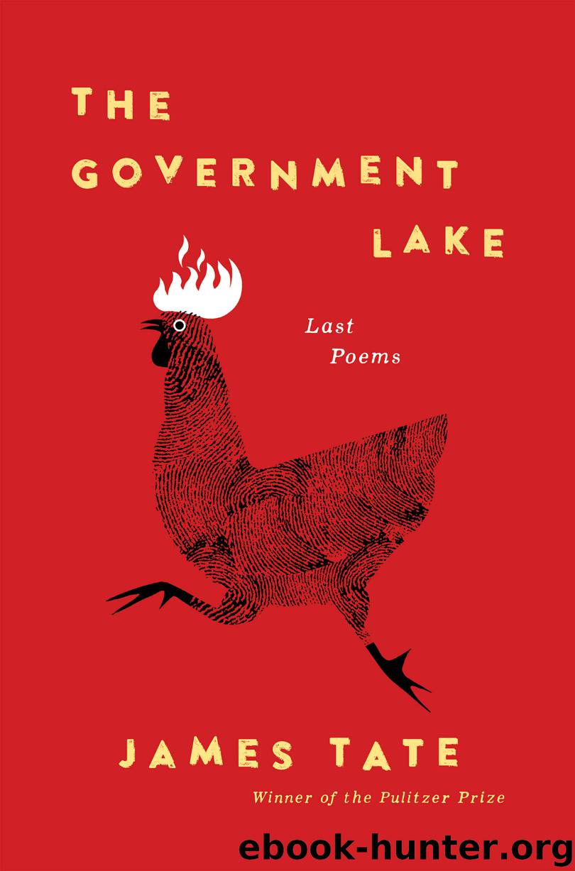 The Government Lake by James Tate