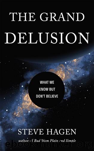 The Grand Delusion by Steve Hagen