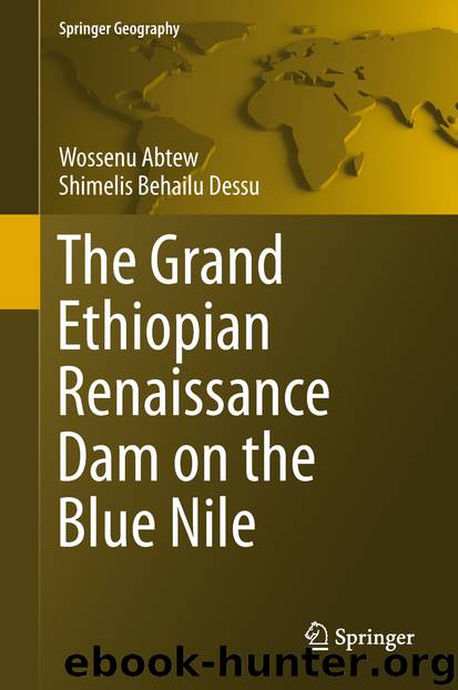 The Grand Ethiopian Renaissance Dam on the Blue Nile by Wossenu Abtew & Shimelis Behailu Dessu