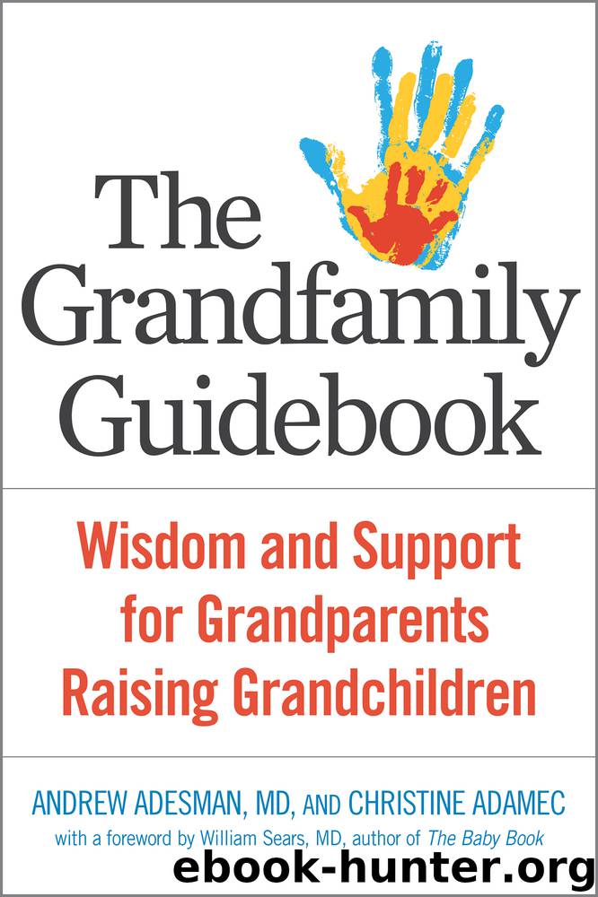 The Grandfamily Guidebook by Andrew Adesman