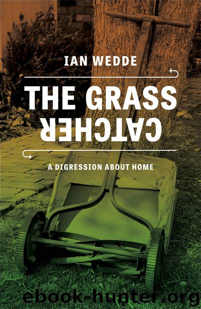 The Grass Catcher by Ian Wedde