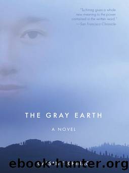 The Gray Earth by Galsan Tschinag