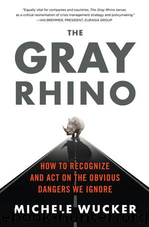 The Gray Rhino: How to Recognize and Act on the Obvious Dangers We Ignore by Michele Wucker