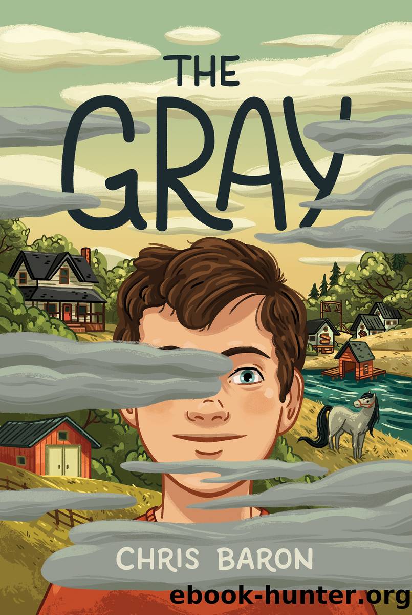 The Gray by Chris Baron