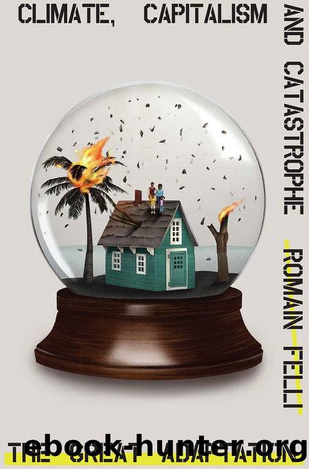The Great Adaptation: Climate, Capitalism and Catastrophe by Romain Felli