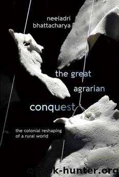 The Great Agrarian Conquest by Neeladri Bhattacharya;
