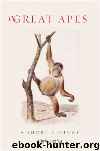 The Great Apes by Chris Herzfeld