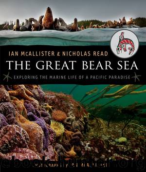 The Great Bear Sea by Ian McAllister