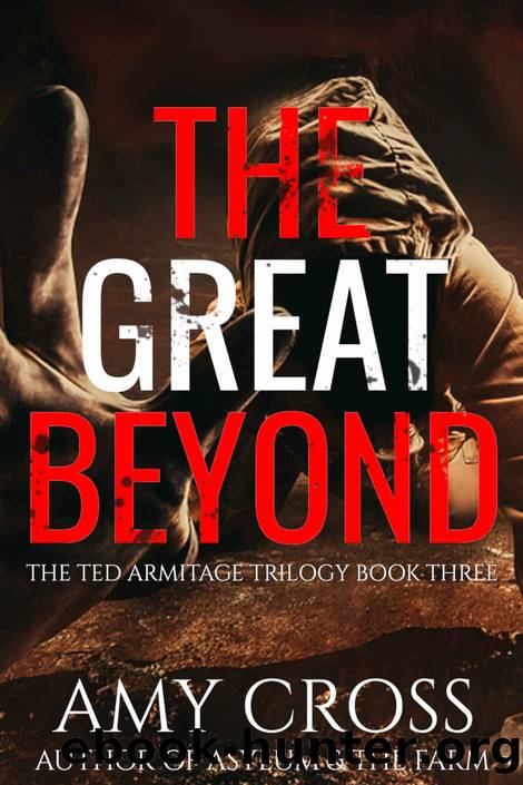 The Great Beyond (The Ted Armitage Trilogy Book 3) by Amy Cross
