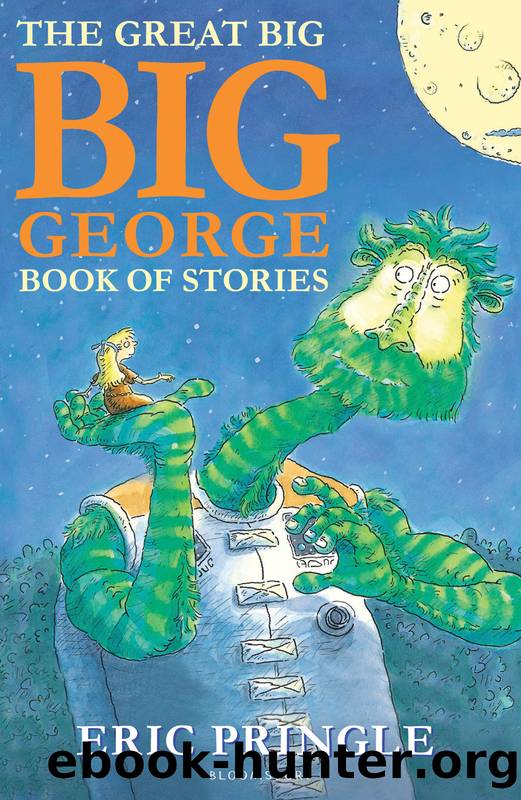 The Great Big Big George Book of Stories by Eric Pringle