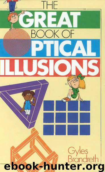 The Great Book of Optical Illusions by Gyles Brandreth
