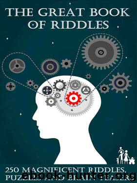 The Great Book of Riddles: 250 Magnificent Riddles, Puzzles and Brain Teasers (Elsinore Puzzles) by Peter Keyne & Rudolph Amsel