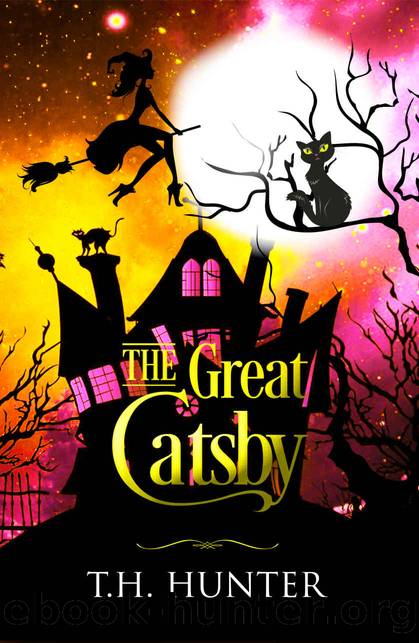 The Great Catsby by T. H. Hunter