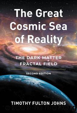 The Great Cosmic Sea of Reality by Timothy Fulton Johns