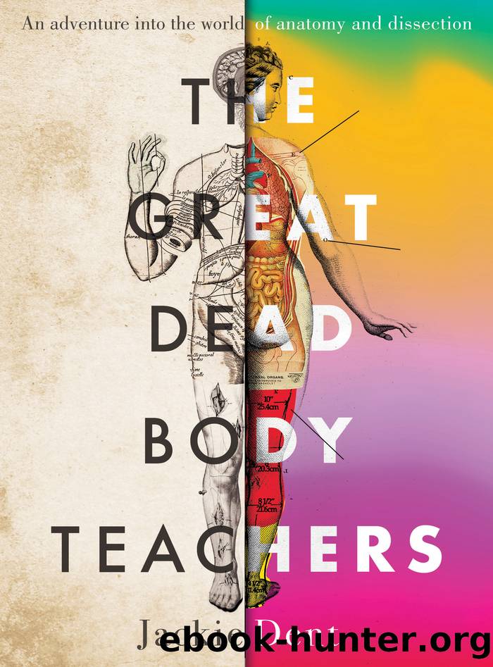 The Great Dead Body Teachers: an adventure into the world of anatomy and dissection by Jackie Dent