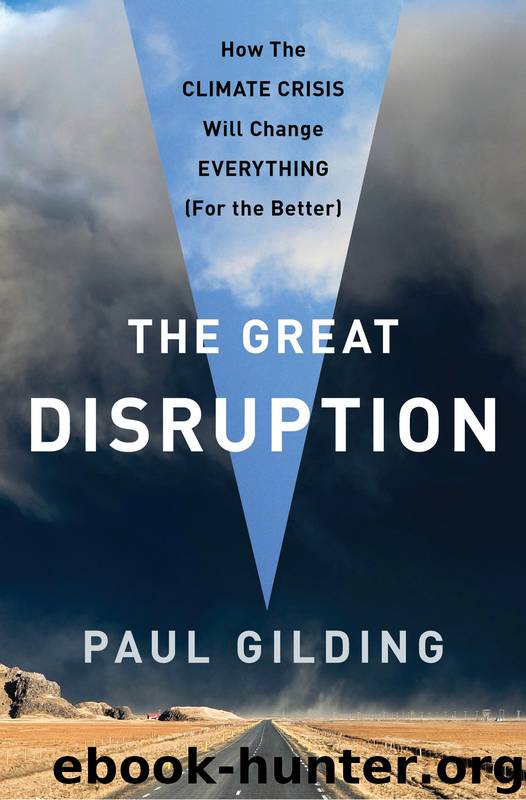 The Great Disruption by Paul Gilding