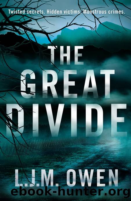The Great Divide by L. .J. M. Owen