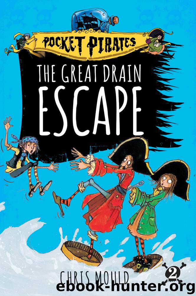 The Great Drain Escape by Chris Mould