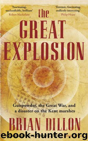 The Great Explosion: Gunpowder, the Great War, and a disaster on the Kent marshes by Dillon Brian