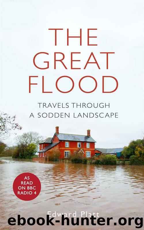 The Great Flood by Edward Platt