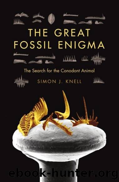 The Great Fossil Enigma: The Search for the Conodont Animal by Simon J. Knell