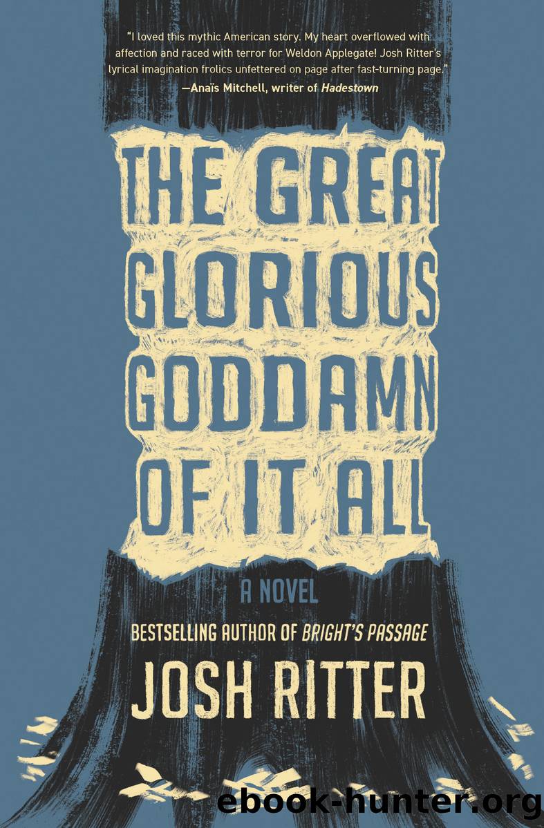The Great Glorious Goddamn of It All by Josh Ritter