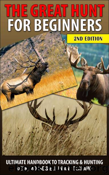 The Great Hunt for Beginners by Andreas Pylarinos