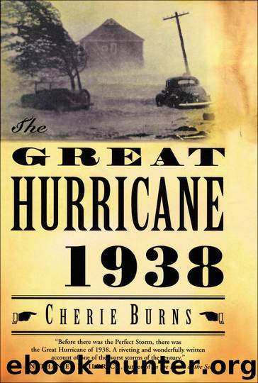 The Great Hurricane by Cherie Burns