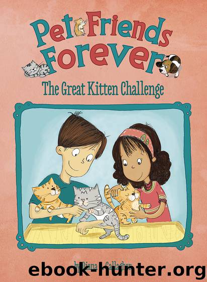 The Great Kitten Challenge by Diana Gallagher