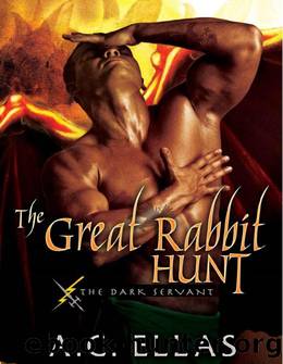 The Great Rabbit Hunt by A. C. Ellas