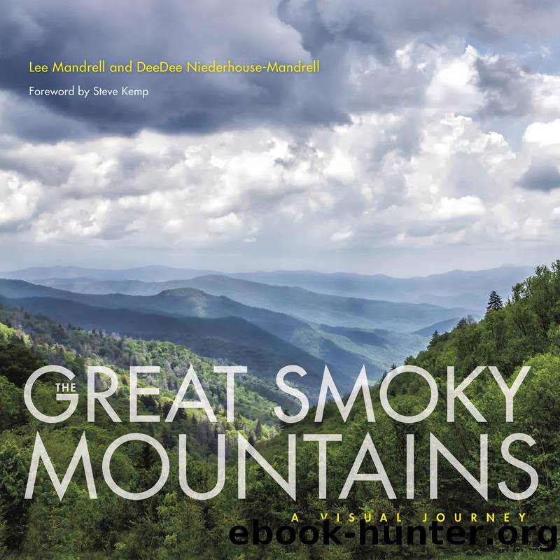 The Great Smoky Mountains by Lee Mandrell & DeeDee Niederhouse-Mandrell